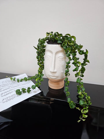 Ghiveci decorativ cu planta naturala Lipstick Plant, 25 x 14cm