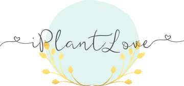 iPlantLove