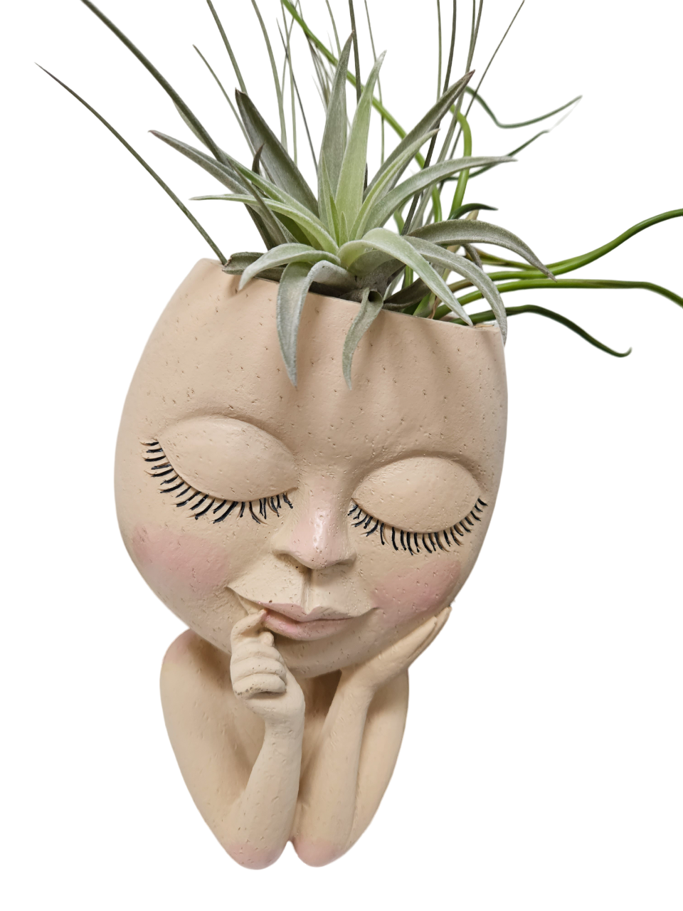 Dream Girl, statueta cu plante naturale aeriene Tillandsia