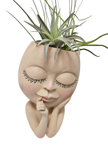 Dream Girl, statueta cu plante naturale aeriene Tillandsia