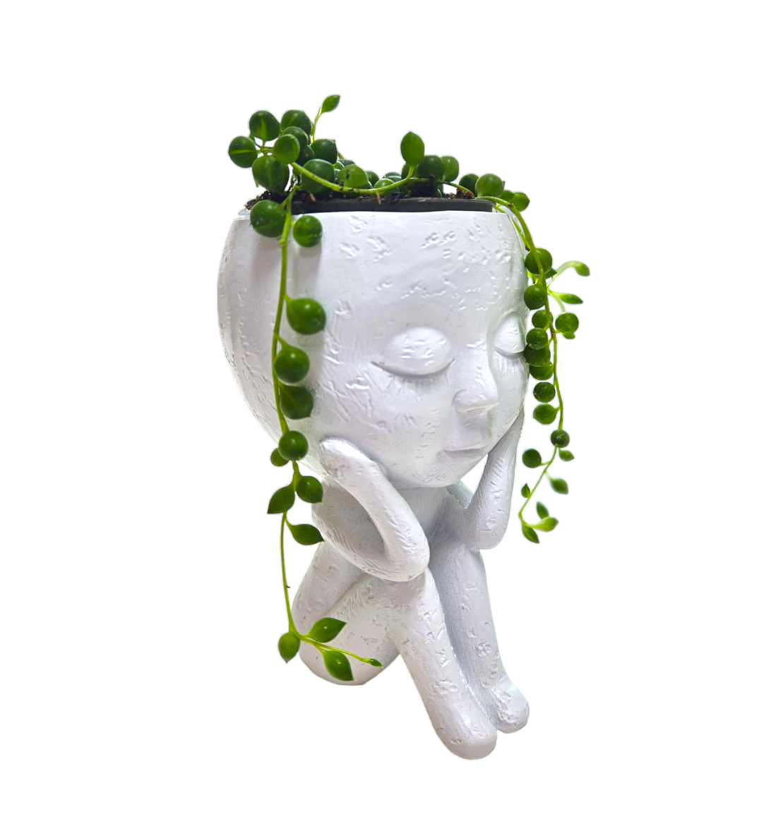 Snow White, statueta cu planta naturala Sirag de Perle